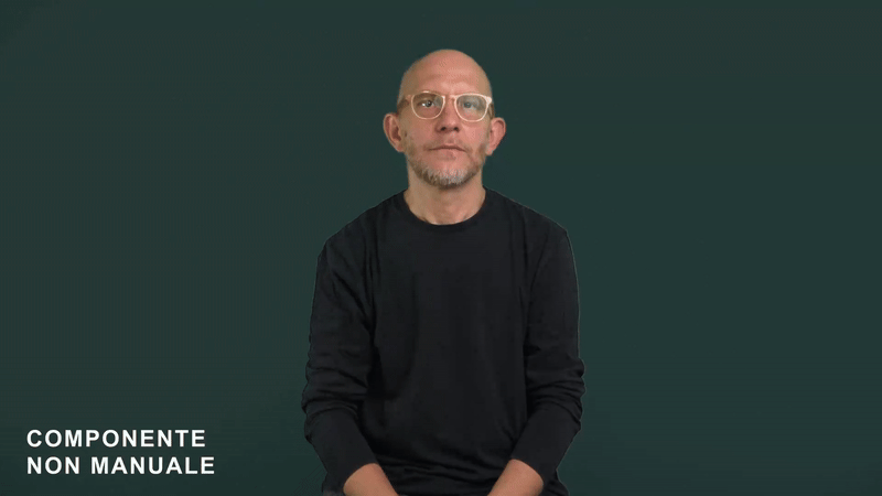 Componente non manuale